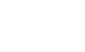 van courier white